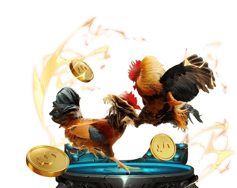 Hình ảnh minh họa cookies và công nghệ theo dõi trên nền tảng cá cược